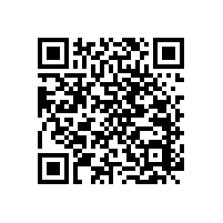 浴室扶手是橫著裝好還是斜裝好?