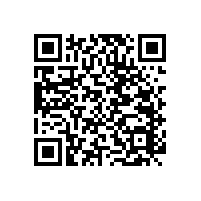 浴室衛(wèi)生間洗浴安全扶手安裝的位置【藍(lán)品盾】