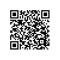 醫(yī)用扶手不一樣的風(fēng)格【藍(lán)品盾】