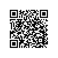 醫(yī)用護攔扶手重要嗎？【藍品盾】