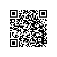 醫(yī)院靠墻扶手【藍品盾】