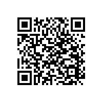 醫(yī)院靠墻扶手批發(fā)廠家直銷【藍(lán)品盾】