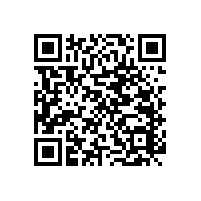 醫(yī)院墻壁扶手可定制批發(fā)【藍(lán)品盾】