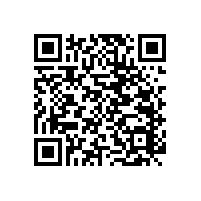 醫(yī)院衛(wèi)生間扶手【藍(lán)品盾】