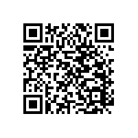 醫(yī)院用靠墻扶手的重要性【藍(lán)品盾】