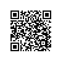 醫(yī)院、養(yǎng)老院、福利院的室內(nèi)衛(wèi)生間無障礙扶手-藍(lán)品盾