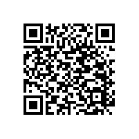 醫(yī)用走到扶手可起到防腐作用【藍(lán)品盾】