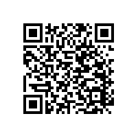 一字型衛(wèi)浴扶手，穩(wěn)定的抓握感更讓人安心【藍品盾】