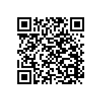 一字型無障礙扶手--真是哪都能安裝哦【藍品盾】