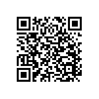 坐便器安全扶手【藍(lán)品盾】