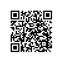 折疊無障礙的扶手簡約款不占空間【藍(lán)品盾】