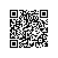 珠海市級養(yǎng)老機構(gòu)-L35實木扶手【藍品盾】