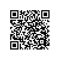 浙江醫(yī)用扶手廠家-藍(lán)品盾這款效果就挺好