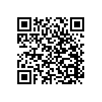 【重慶】客戶敲定藍(lán)品盾受歡迎的--PT-140防撞扶手