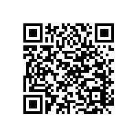 鄭州殘疾人扶手的價格及高清圖【藍(lán)品盾】