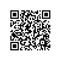 金銀絲紗閃閃亮