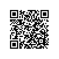 药片压片机选用食品级润滑油真能带来安全，环保健康保障方案吗？