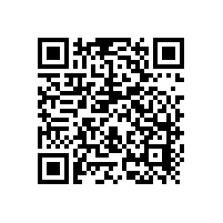 安裝馬桶老人無(wú)障礙衛(wèi)生間扶手告別災(zāi)難現(xiàn)場(chǎng)【藍(lán)品盾】