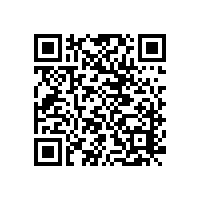 6元鸡排讲出了6亿项目的气魄