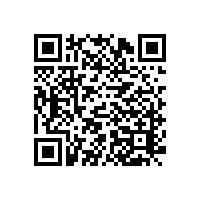 銀絲段彩紗合2為1的設(shè)計(jì)方案，虧你想的出【齊榮煊】