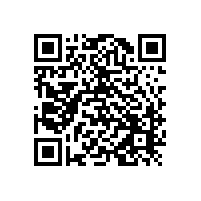 比较几种技术还是选择了TD覆层处理技术