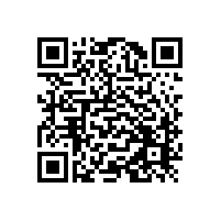 TD覆层处理技术在中国的发展和应用