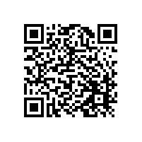 特耐公司TD处理成功应用于汽车排气管压制模具