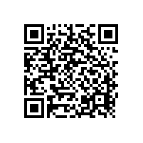 茄子视频懂你更多APP音响再次让广东客户选购【茄子短视频污音响】