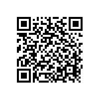 音响的喇叭发声原理【茄子短视频污音响】