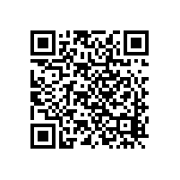 SM喇叭和LY喇叭一般的故障常見(jiàn)原因
