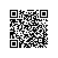 毅廷VDT喇叭和SILY喇叭簡(jiǎn)介