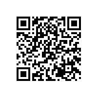 狗籠|鐵絲狗籠子生產廠家|世界名貓----金吉拉貓（Chinchilla）