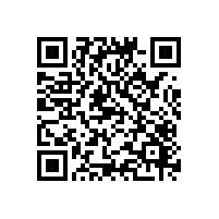 2026能改善越南进出口报关管理的关务电子管理软件？通关系统建议哪种？