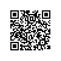 9810广西关务电子化系统给于企业有效的助力和保障是？