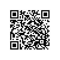 AEO报关能减少运输延时等候费？川渝saas通关平台告诉你！