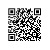 AEO报关软件带来的便利？汕尾自动关务系统是否适合所有企业？