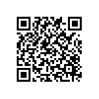 aeo辅导软件顾问能帮企业准备哪些东西？ AEO 辅导机构有没有顾问辅导服务？
