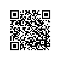 aeo辅导软件能帮企业准备海关需要的资料吗？带软件的AEO 辅导机构后面会长期服务吗？