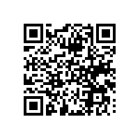 aeo高级认证对报关系统要求高吗？中山有没有辅助企业的报关系统？