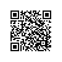 aeo高级认证有哪些固定的标准吗？湖北进出口企业aeo认证前的风险评估能找哪家的品牌？