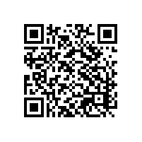 aeo关务管理系统有什么缺点？对于aeo一般认证软件选择有啥要求？aeo认证培育是什么部门负责？