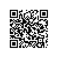 aeo认证报关系统有啥缺点？天津aeo认证企业要求有关务软件吗？