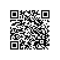 AEO认证对关务系统有哪些基本要求？江苏上海电子笔制造业AEO认证对关务系统的数据存储有哪些要求？