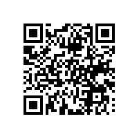 AEO认证辅导对东北企业有辅助吗？新材料企业用AEO辅导团队有哪些优势？