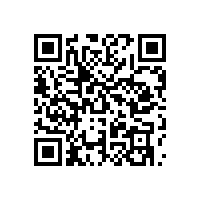 AEO认证辅导机构东北企业可以协助哪些难点？企业找哪家品牌机构能顺利通关？
