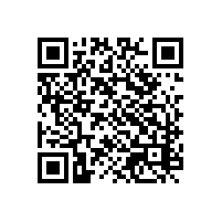 aeo认证辅导软件能提高吗？小工厂有用带软件的 AEO 辅导品牌吗？