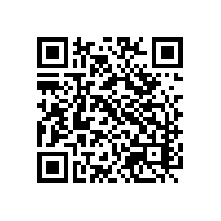 aeo认证深圳企业会给补助吗？aeo高级认证等级的查验比例是多少？报关行通过aeo认证的难点在哪？