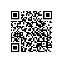 aeo认证系统对企业有哪些要求？中山云浮谁家的关务软件对aeo认证企业有用？