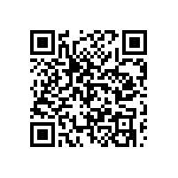 安徽报关软件软件稳定性是不是好？报关软件售后服务怎么样？