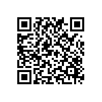 安徽大工厂的报关软件价格高吗？企业报关软件系统成本会不会很多？